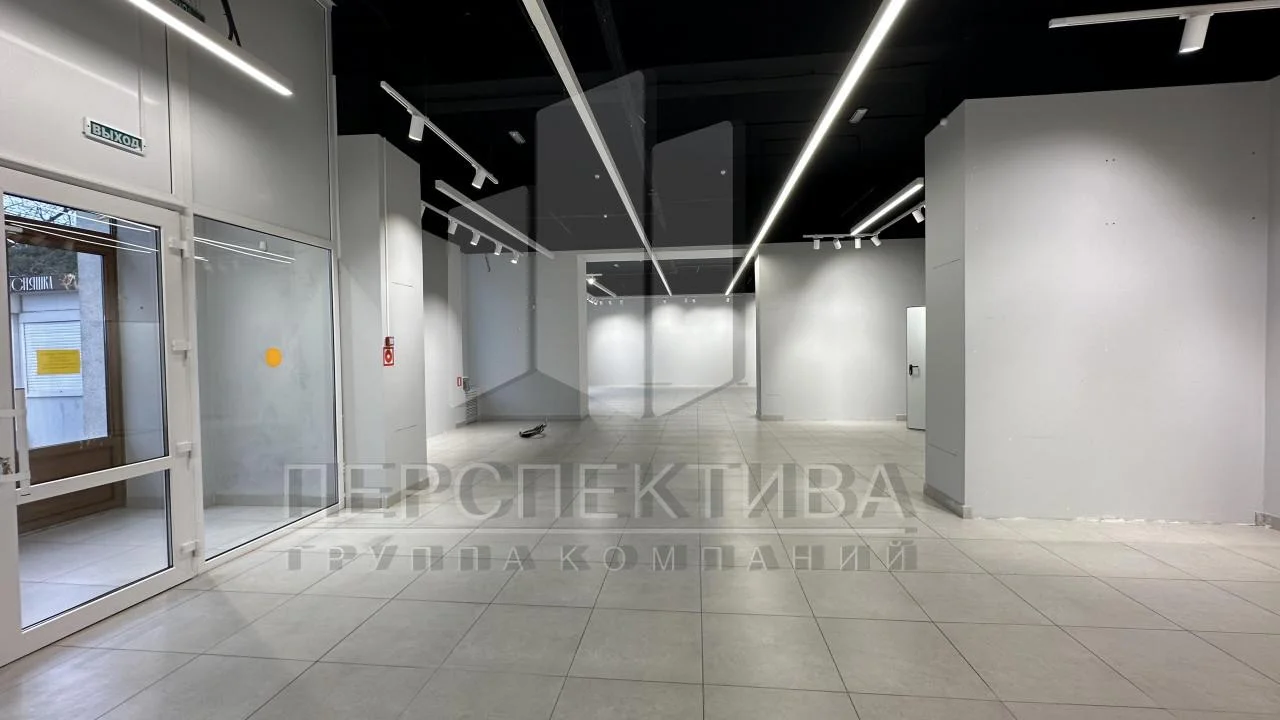 Торговая площадь 302 м2 - миниатюра 8