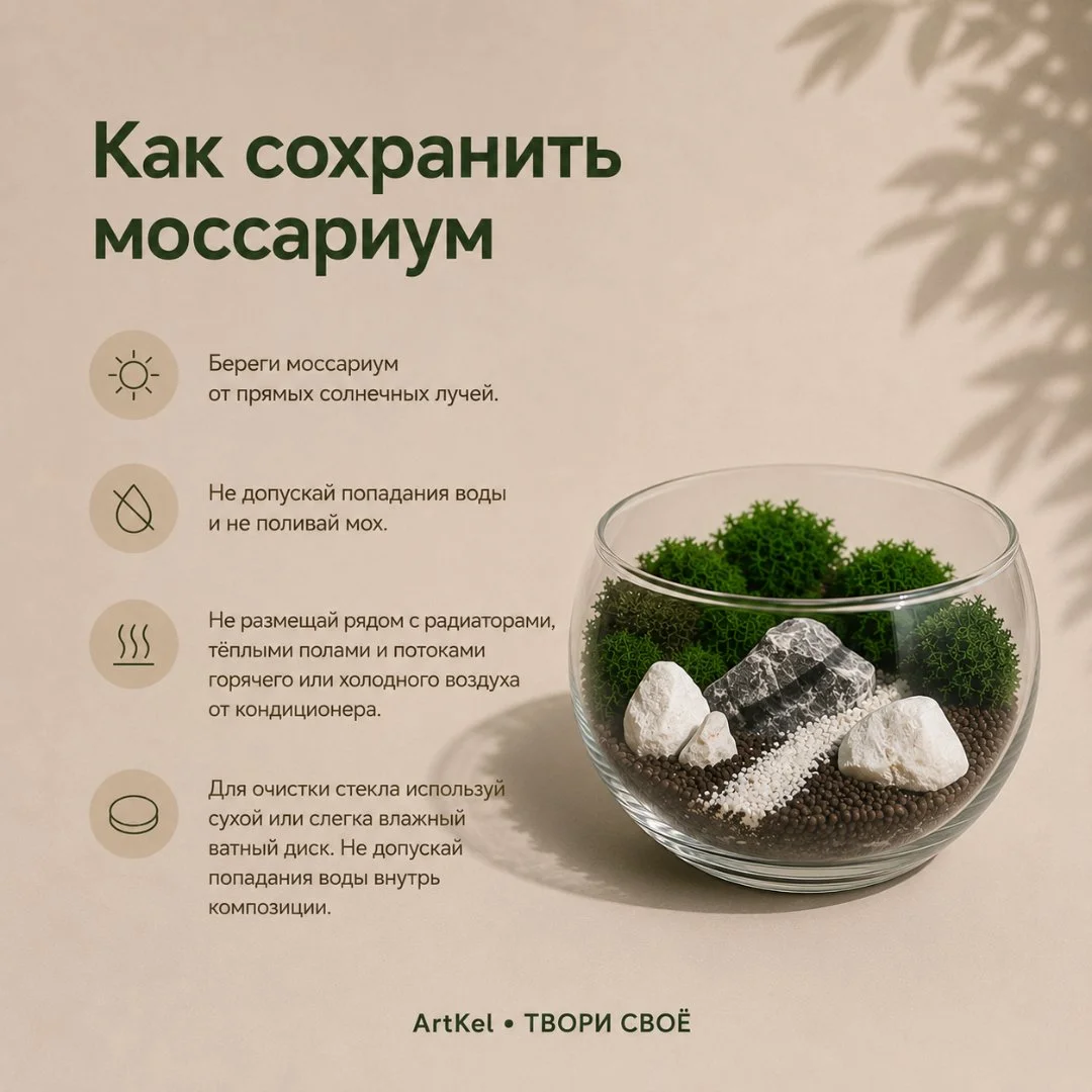 Набор для создания флорариума из стабилизированного мха - миниатюра 4
