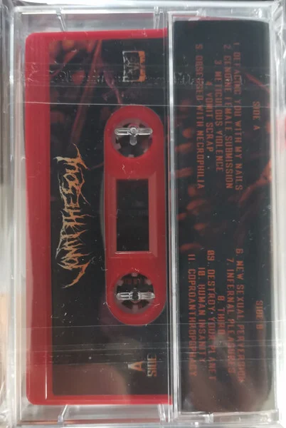 Vomit The Soul – Portraits of Inhuman Abomination… - миниатюра 2