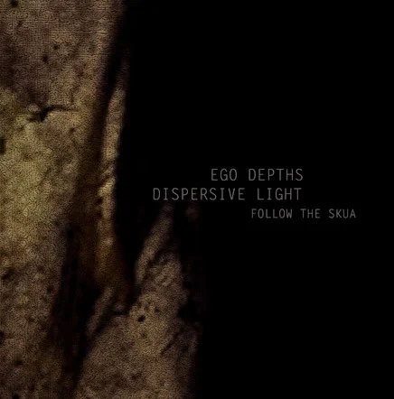 Ego Depths / Dispersive Light — Follow The Skua - изображение 1
