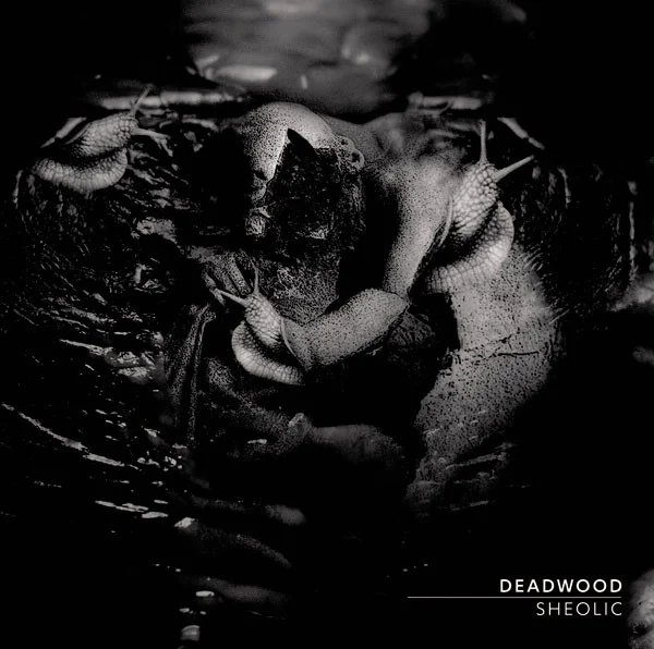 Deadwood — Sheolic - изображение 1