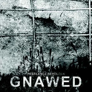 Gnawed — Pestilence Beholden - изображение 1
