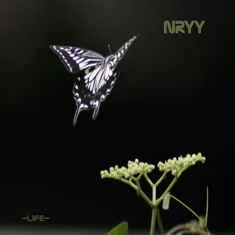 NRYY — Life - изображение 1