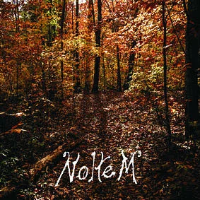Noltem — Mannaz - изображение 1