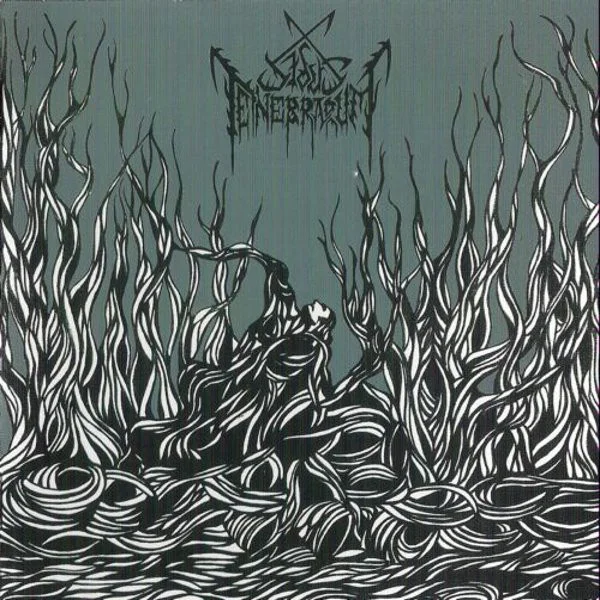 Sidus Tenebrarum — Born From The Dark Rib - изображение 1