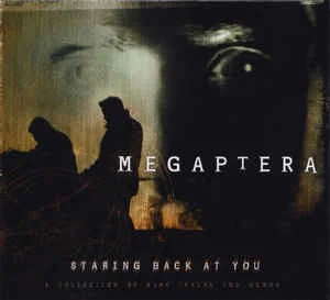 Megaptera — Staring Back At You - изображение 1