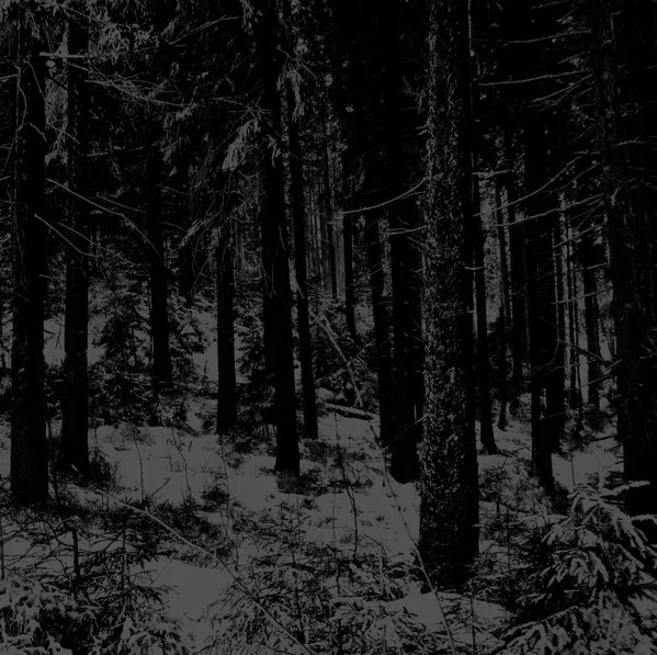 Moloch – Abstrakter Wald CD - изображение 1