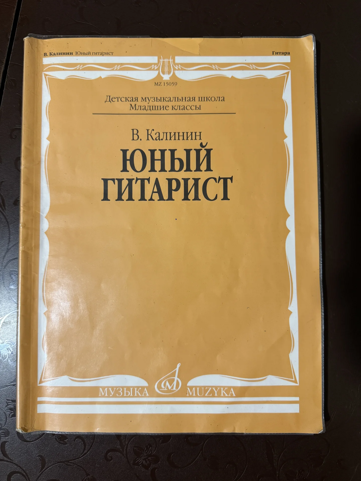 Юный гитарист - изображение 1
