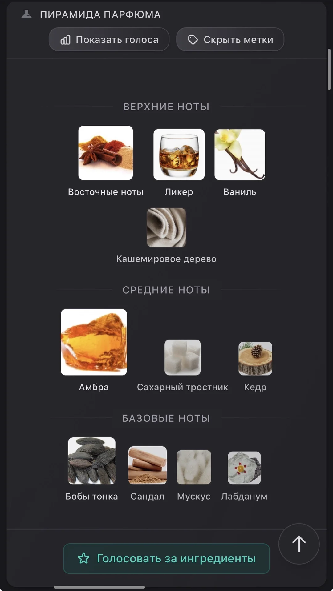 Amber Empire French Avenue - миниатюра 3