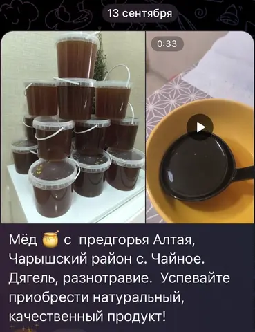 МЁД из диких мест Алтая