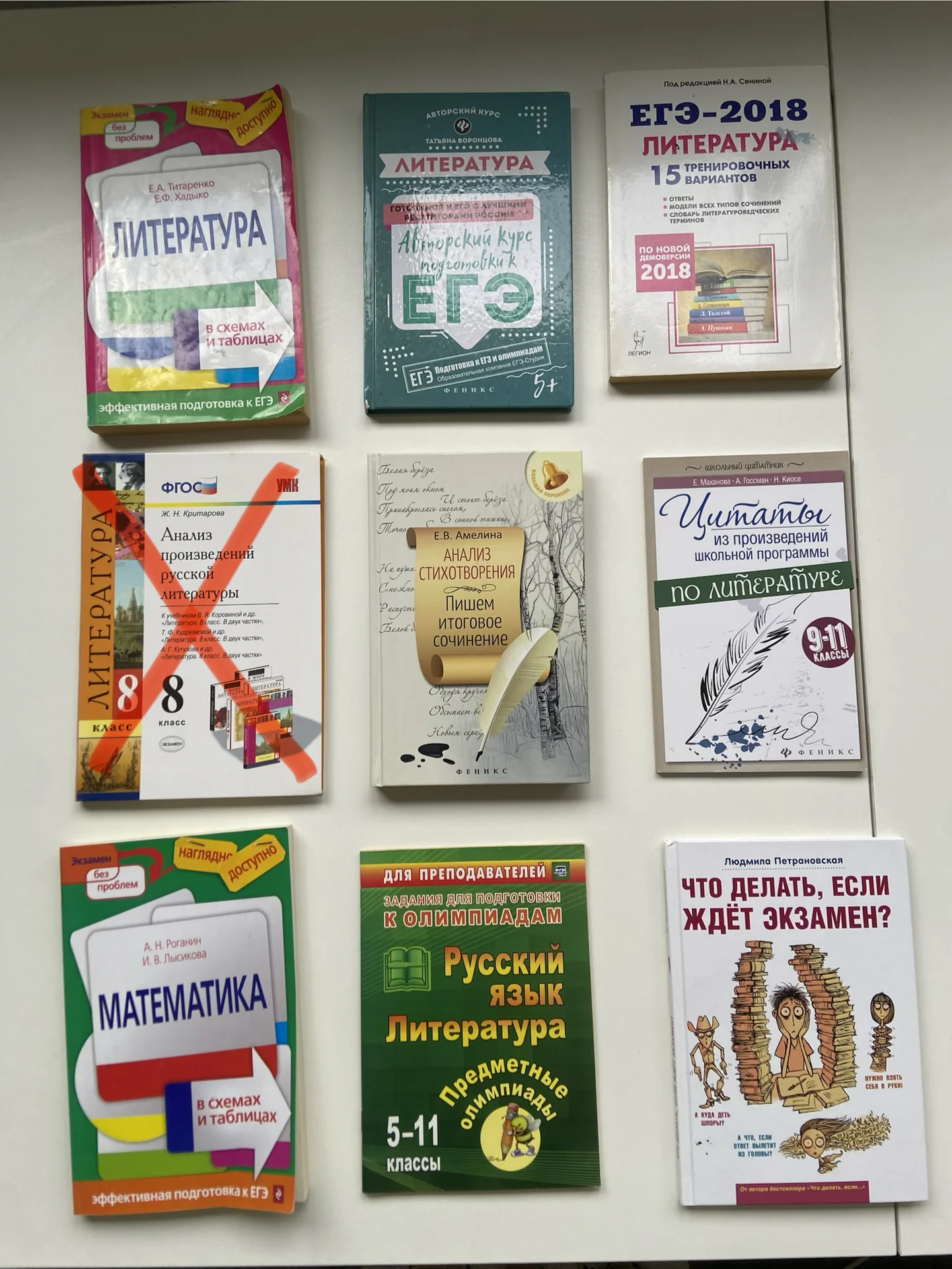 Книги ЕГЭ по литературе, математике, олимпиады - изображение 1