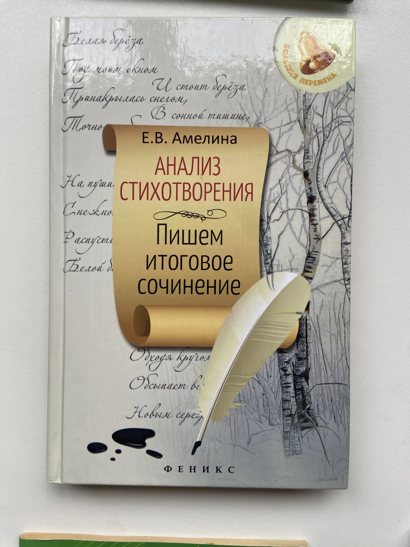 Книги ЕГЭ по литературе, математике, олимпиады - миниатюра 8