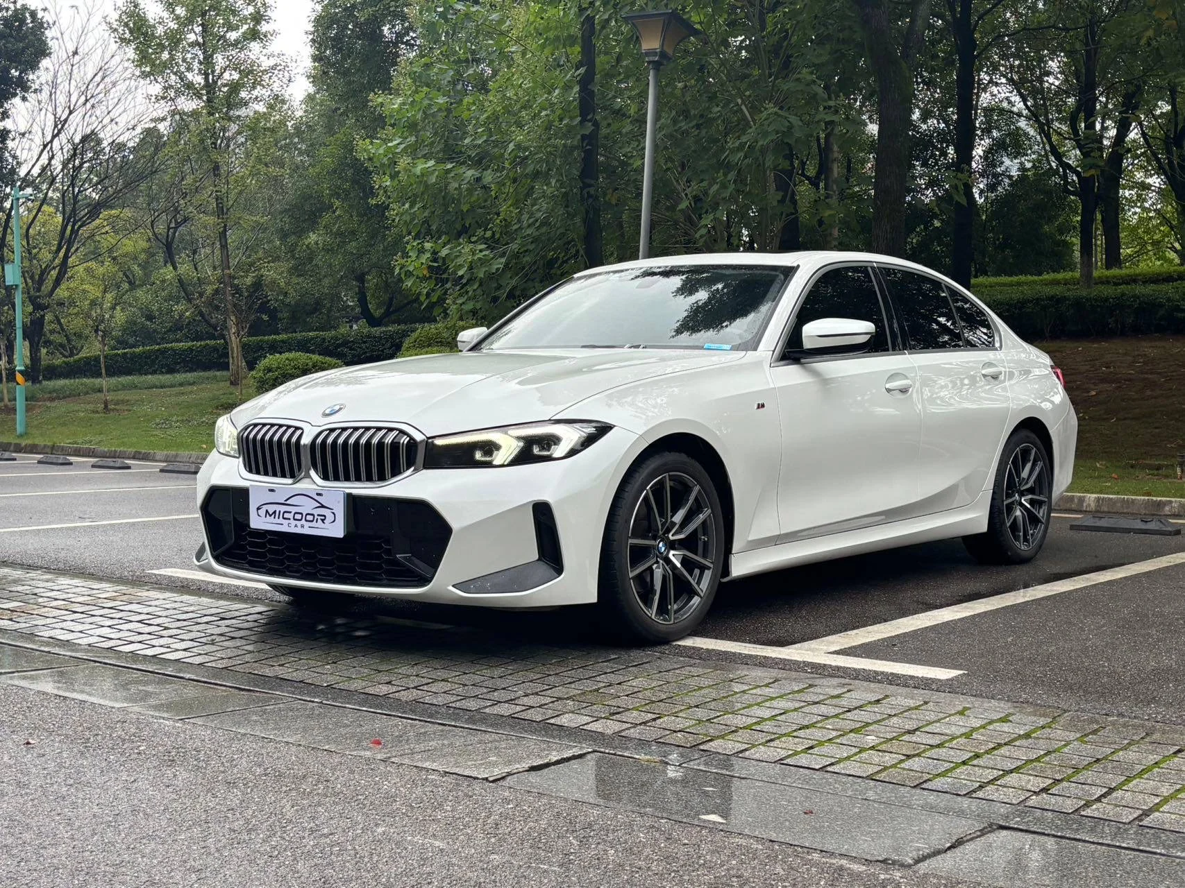 BMW 320Li M-sport - миниатюра 2