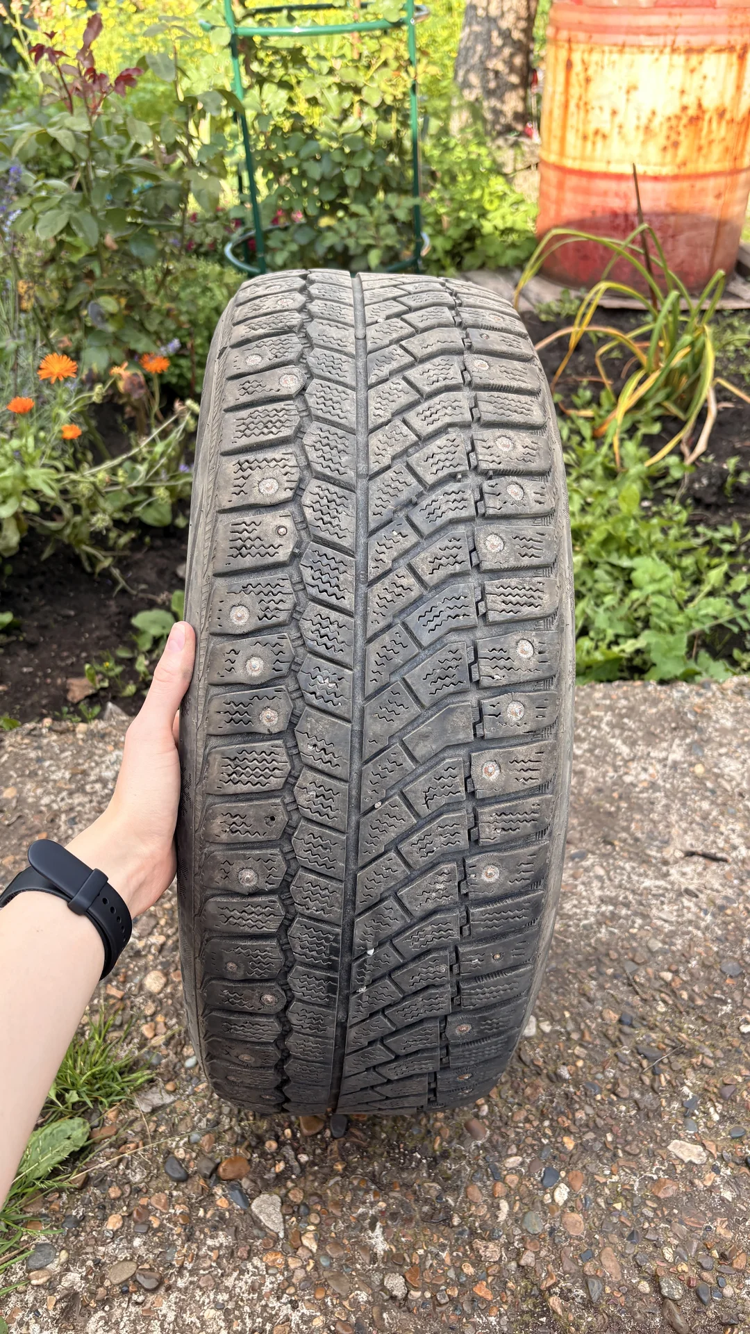 Шины зимние шипованные r16 205/55 - изображение 1