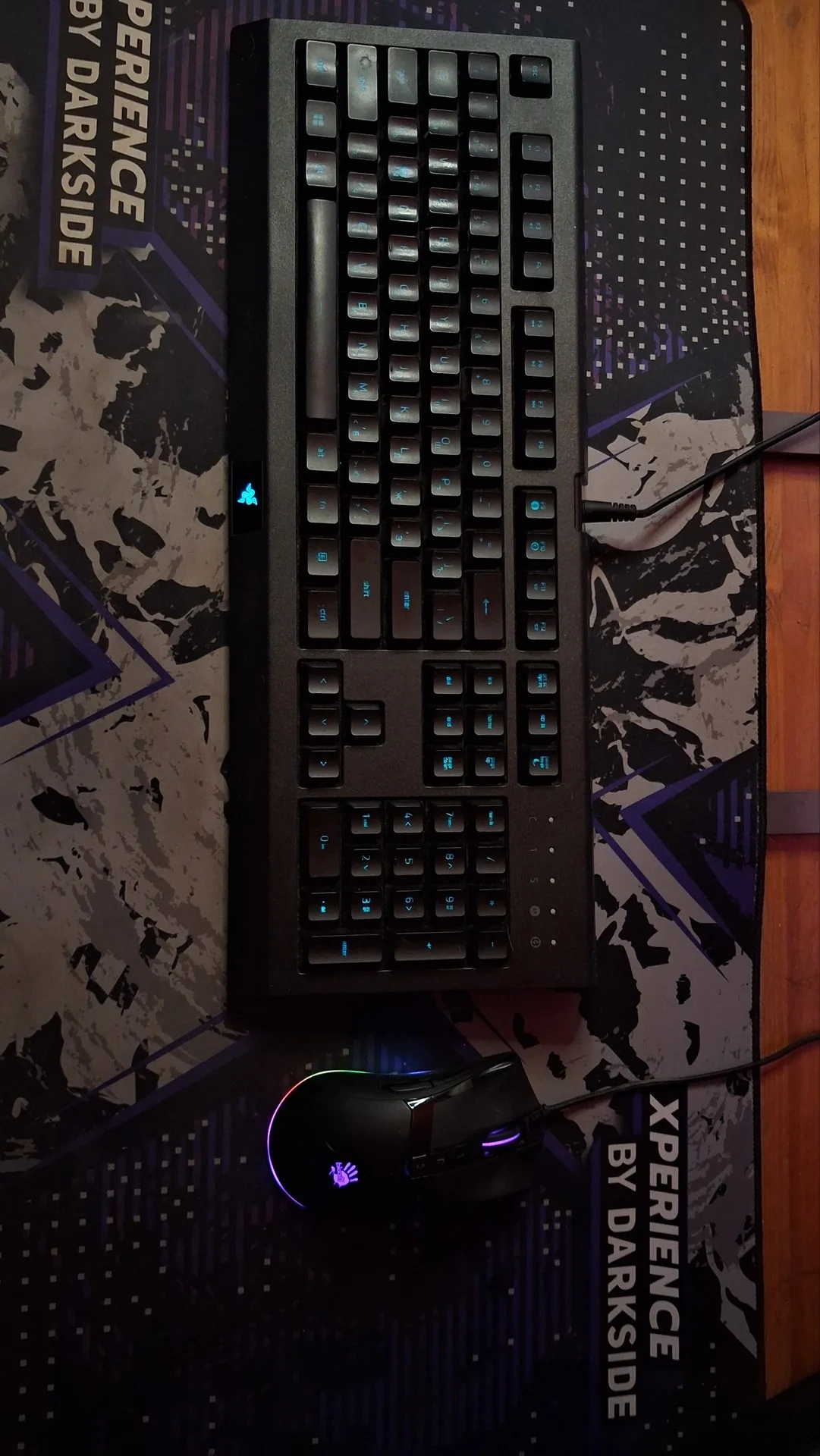 клавиатура и мышь | cynosa lite + bloody w90 pro - изображение 1