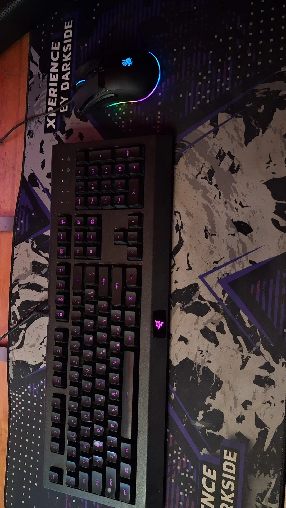 клавиатура и мышь | cynosa lite + bloody w90 pro - миниатюра 2