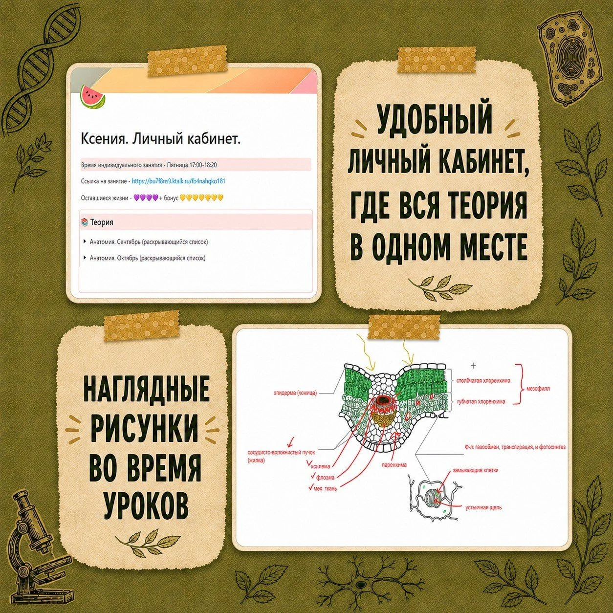 Репетитор по биологии ЕГЭ, ОГЭ онлайн - миниатюра 6