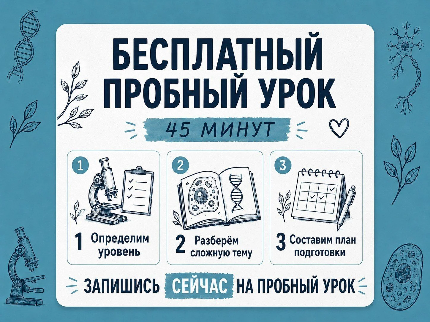 Репетитор по биологии ЕГЭ, ОГЭ онлайн - миниатюра 11