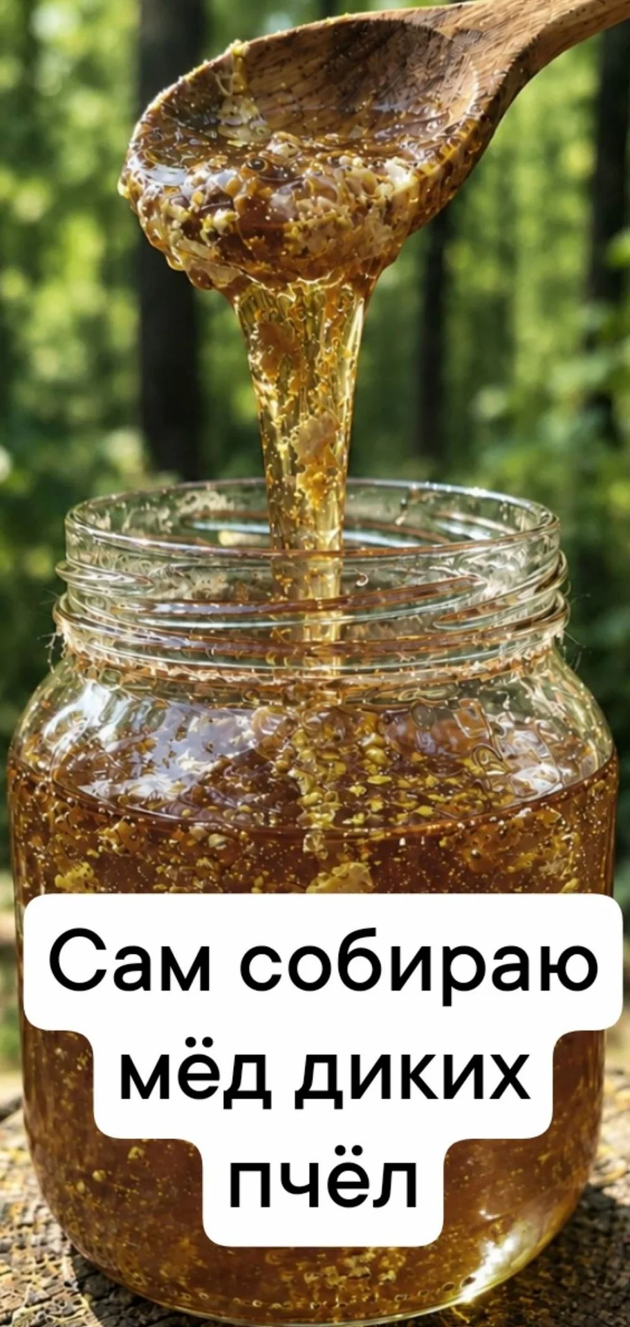 Дикий мёд с этого дупла 2026 - миниатюра 5