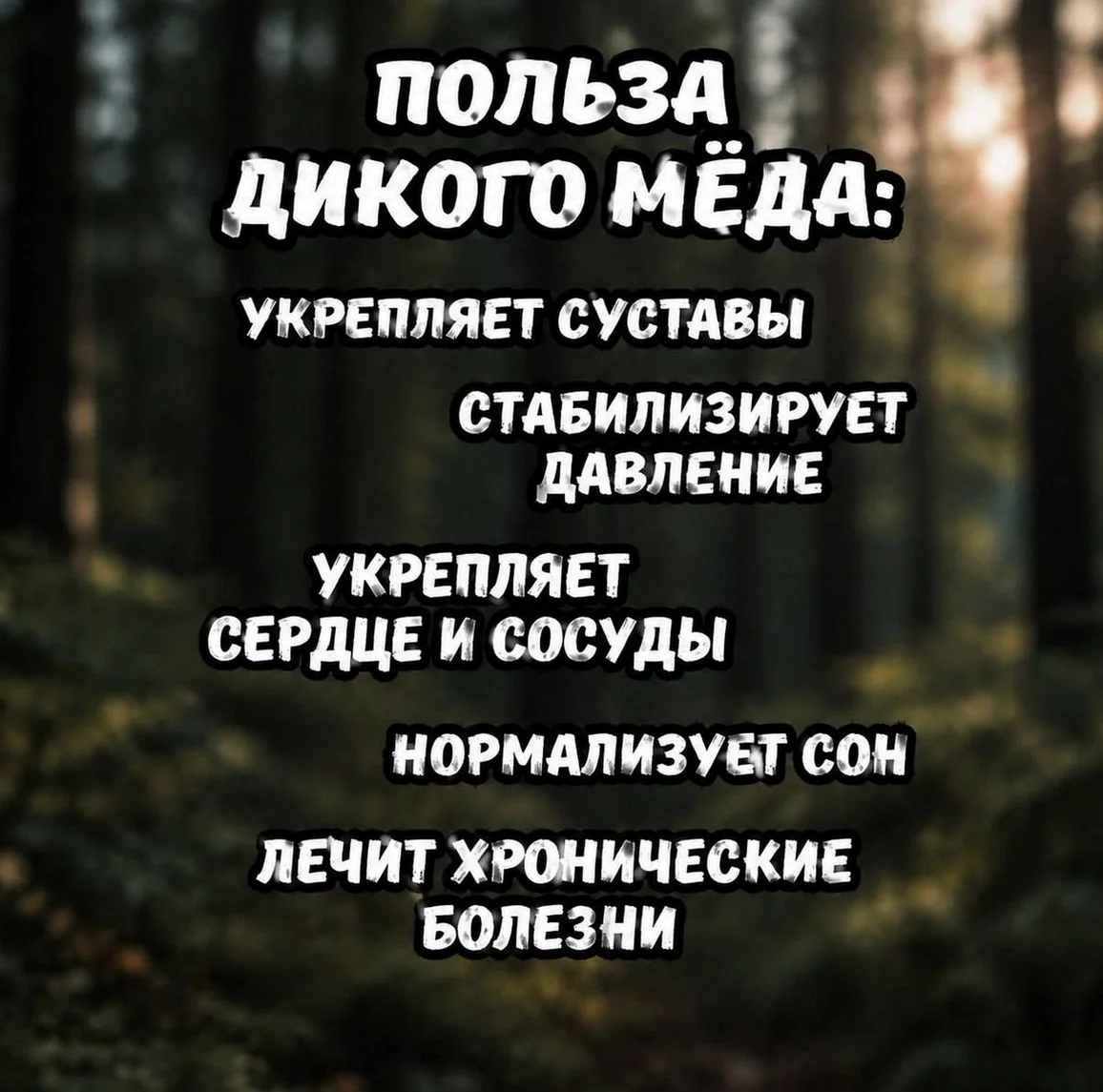 Дикий Бортевой мед (жидкий) 2026г - миниатюра 5