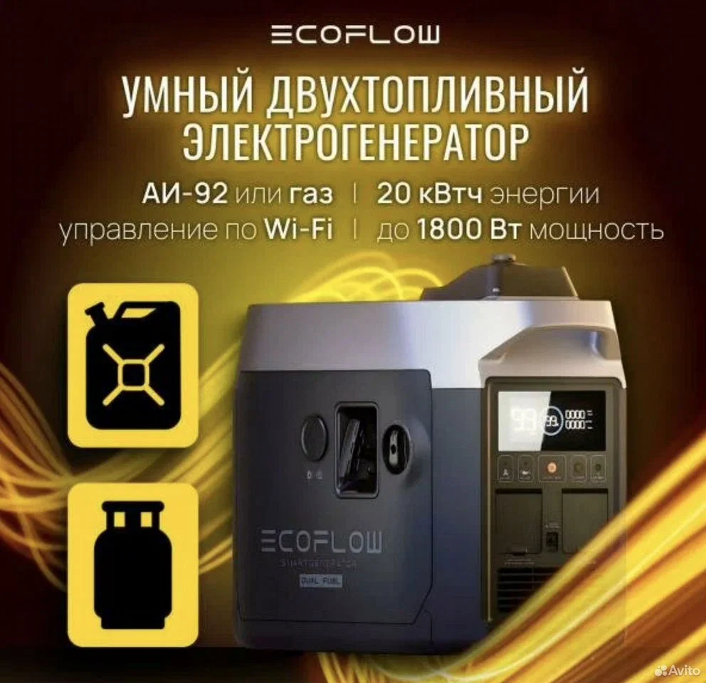 Двухтопливный умный генератор EcoFlow - миниатюра 2