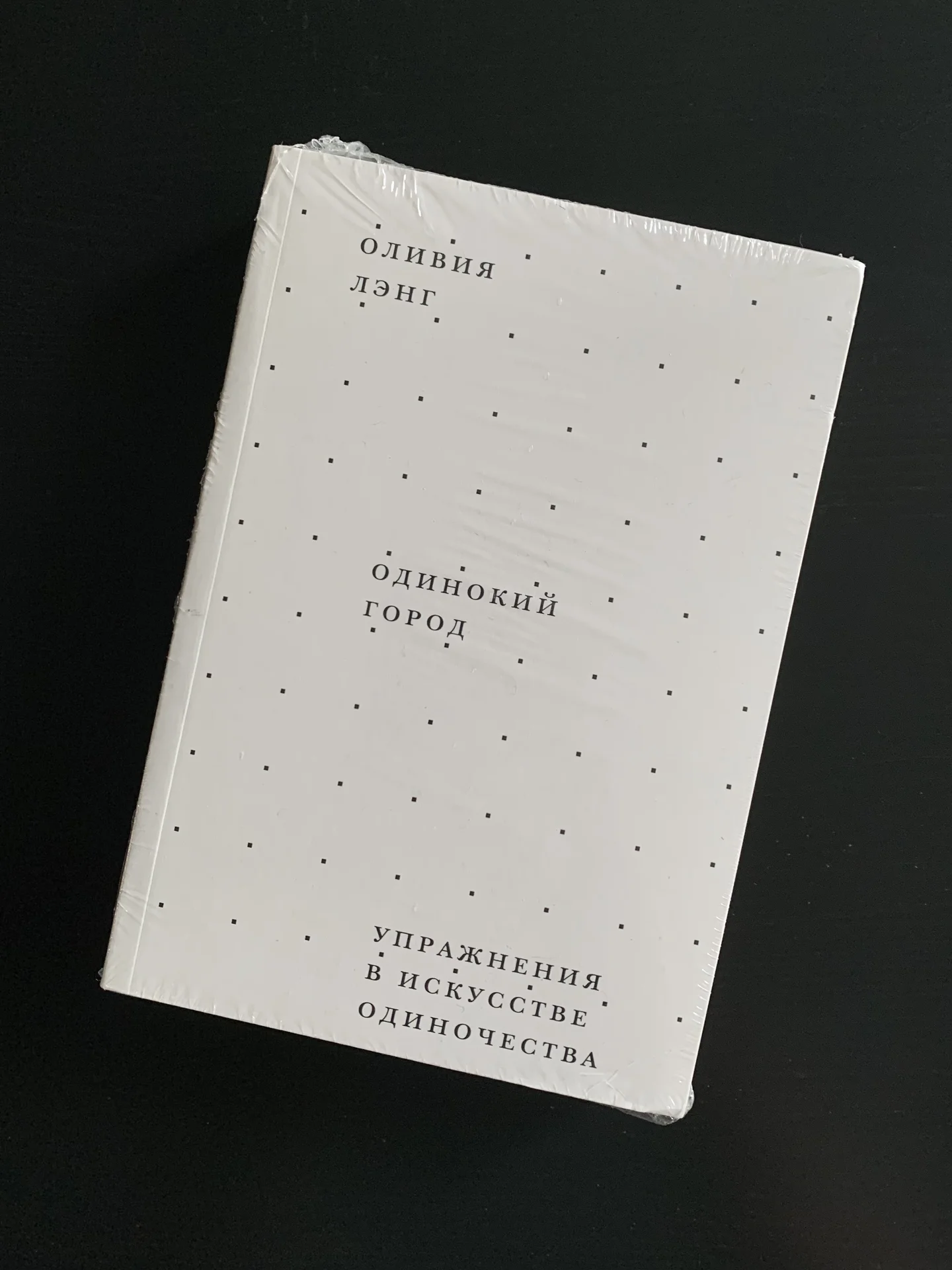 Одинокий город. Оливия Лэнг - изображение 1