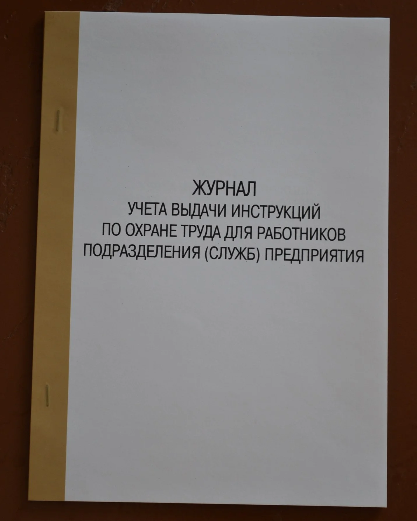 Журнал учета выдачи инструкций по охране труда - изображение 1