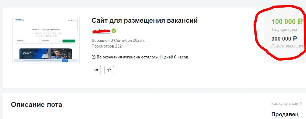 Заработай на новом виде инвестирования - в сайты. - миниатюра 5