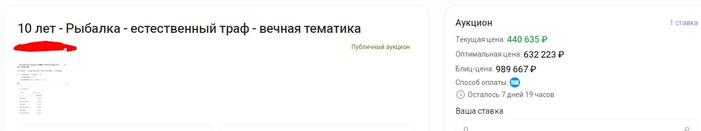 Заработай на новом виде инвестирования - в сайты. - миниатюра 6