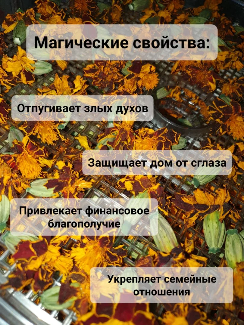 Бархатцы цветки сушёные - миниатюра 4
