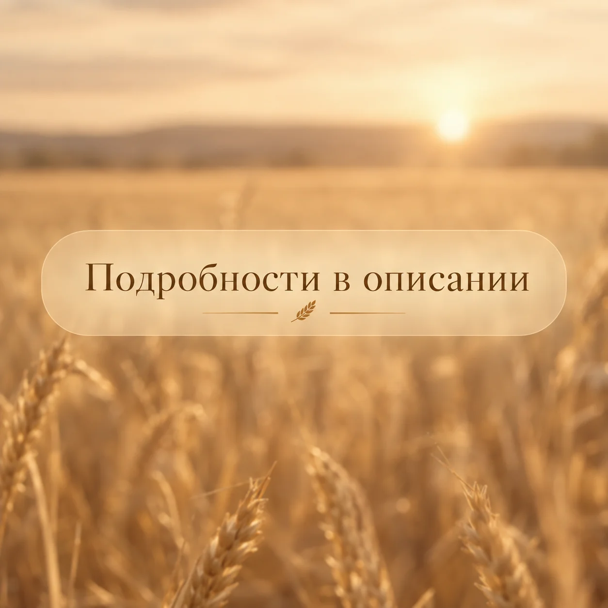 презентация - миниатюра 3