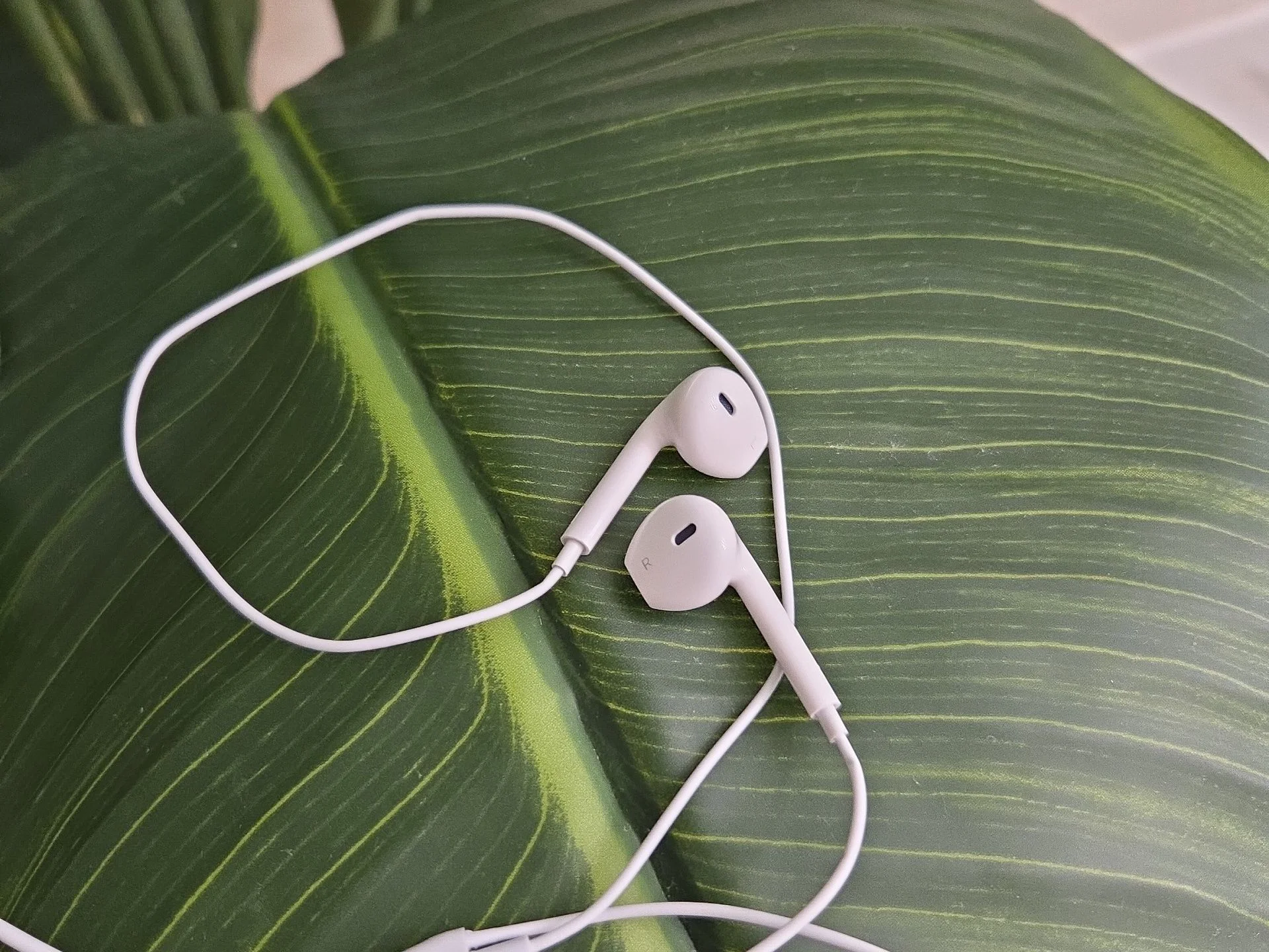 🎧 Проводные наушники EarPods. - миниатюра 6