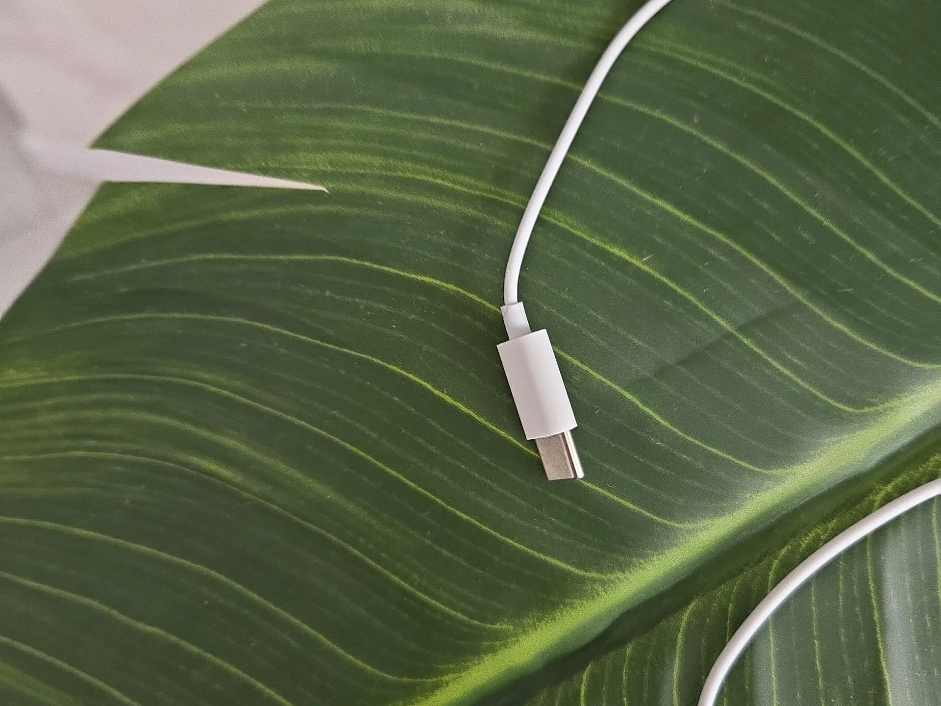 🎧 Проводные наушники EarPods. - миниатюра 7