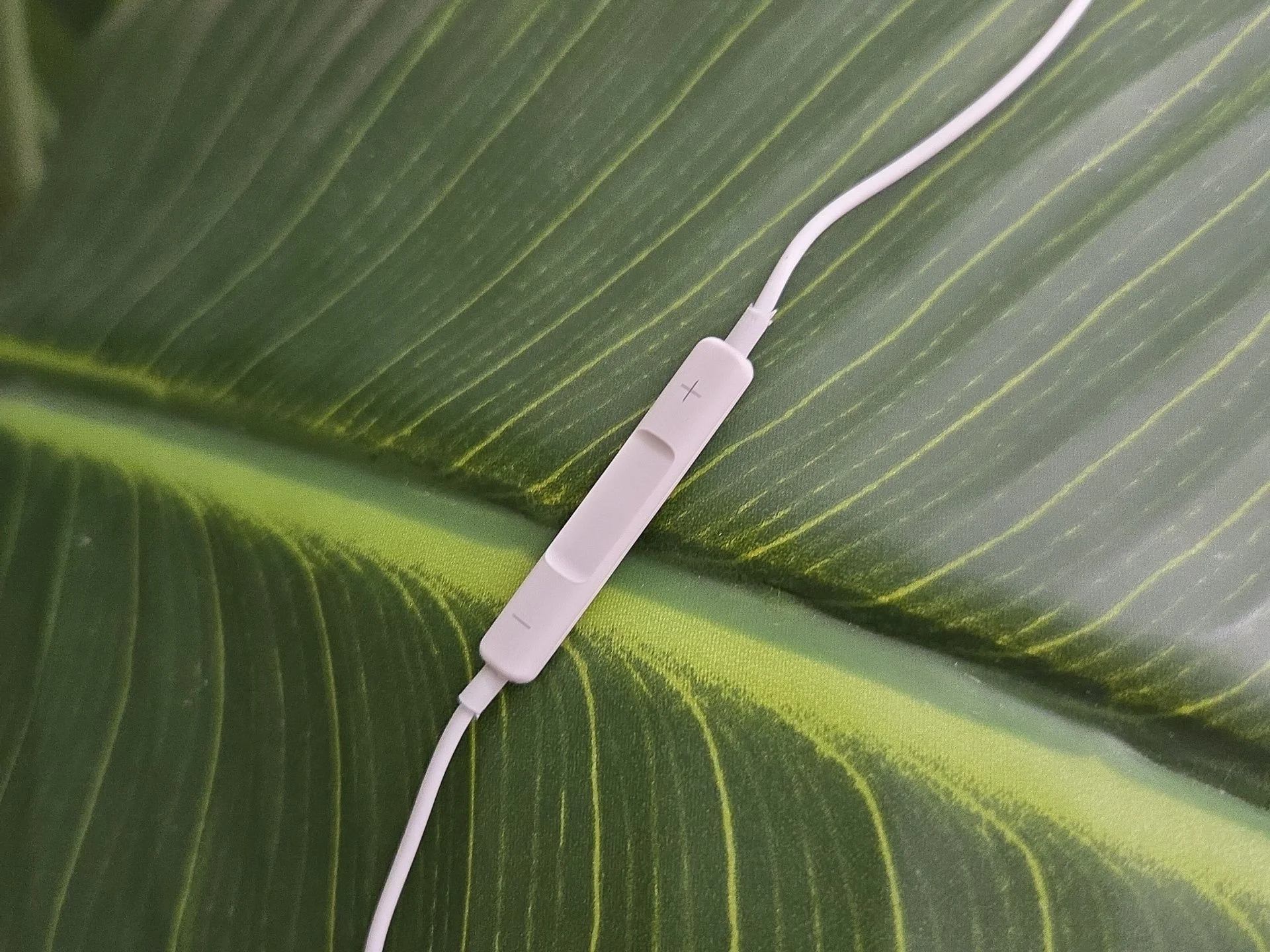 🎧 Проводные наушники EarPods. - миниатюра 8