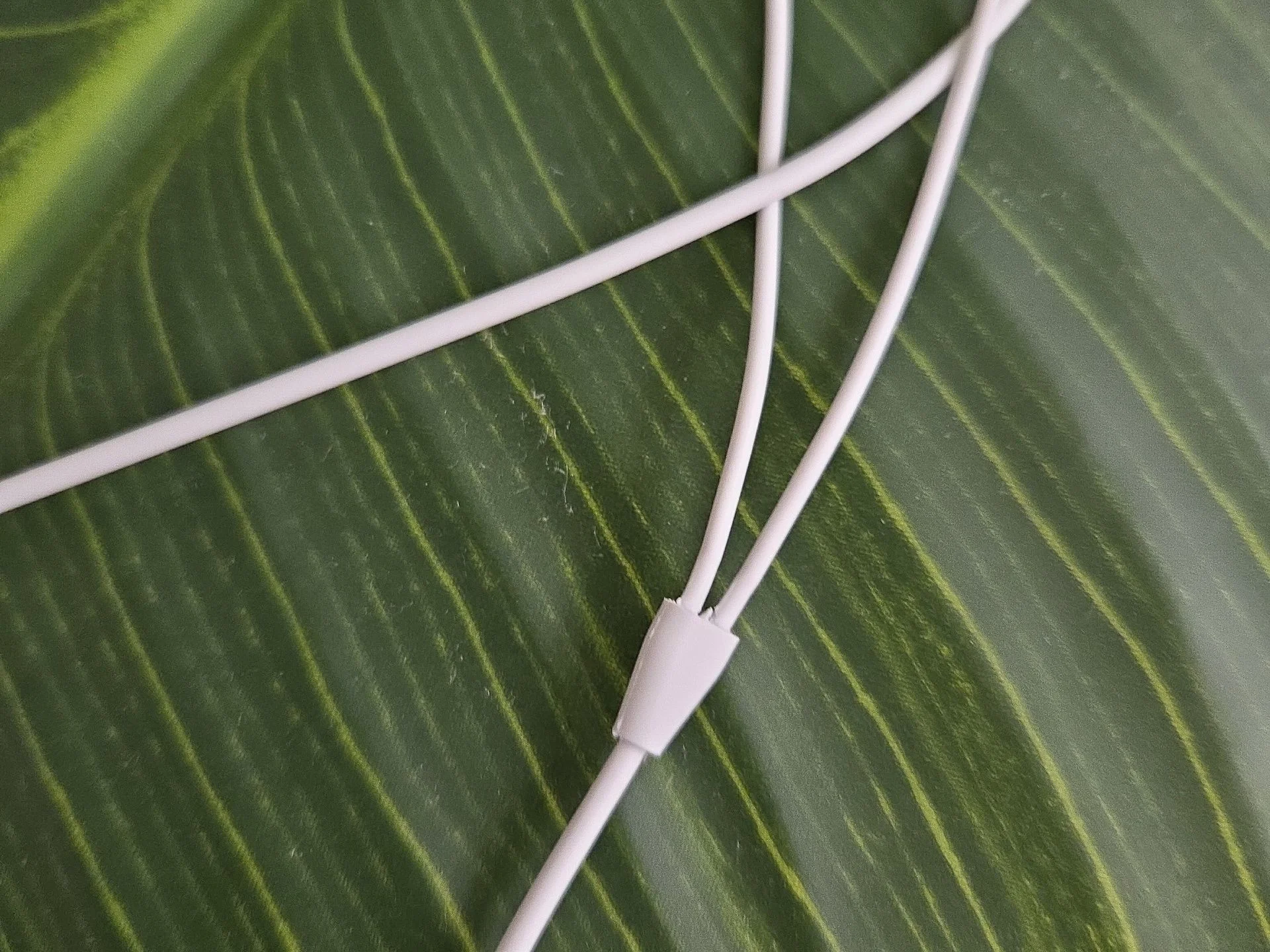 🎧 Проводные наушники EarPods. - миниатюра 10