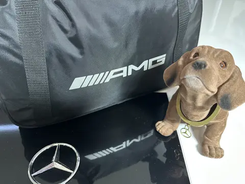 оригинальный тент - чехол AMG Mercedes Benz GLE