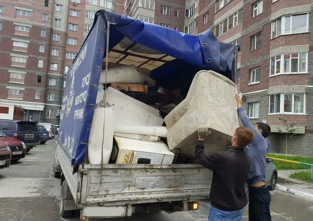 Вывоз мусора контейнером - миниатюра 6