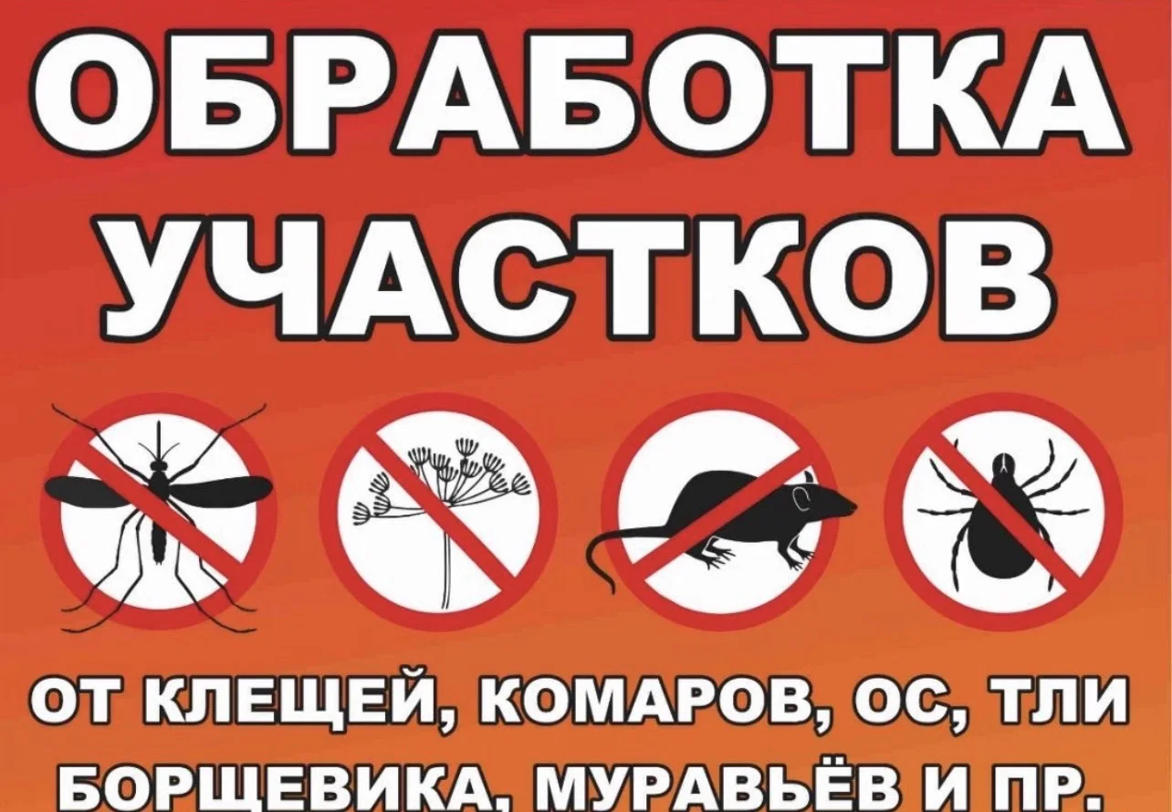 Дезинфекция, уничтожение, травление, обработка - миниатюра 2