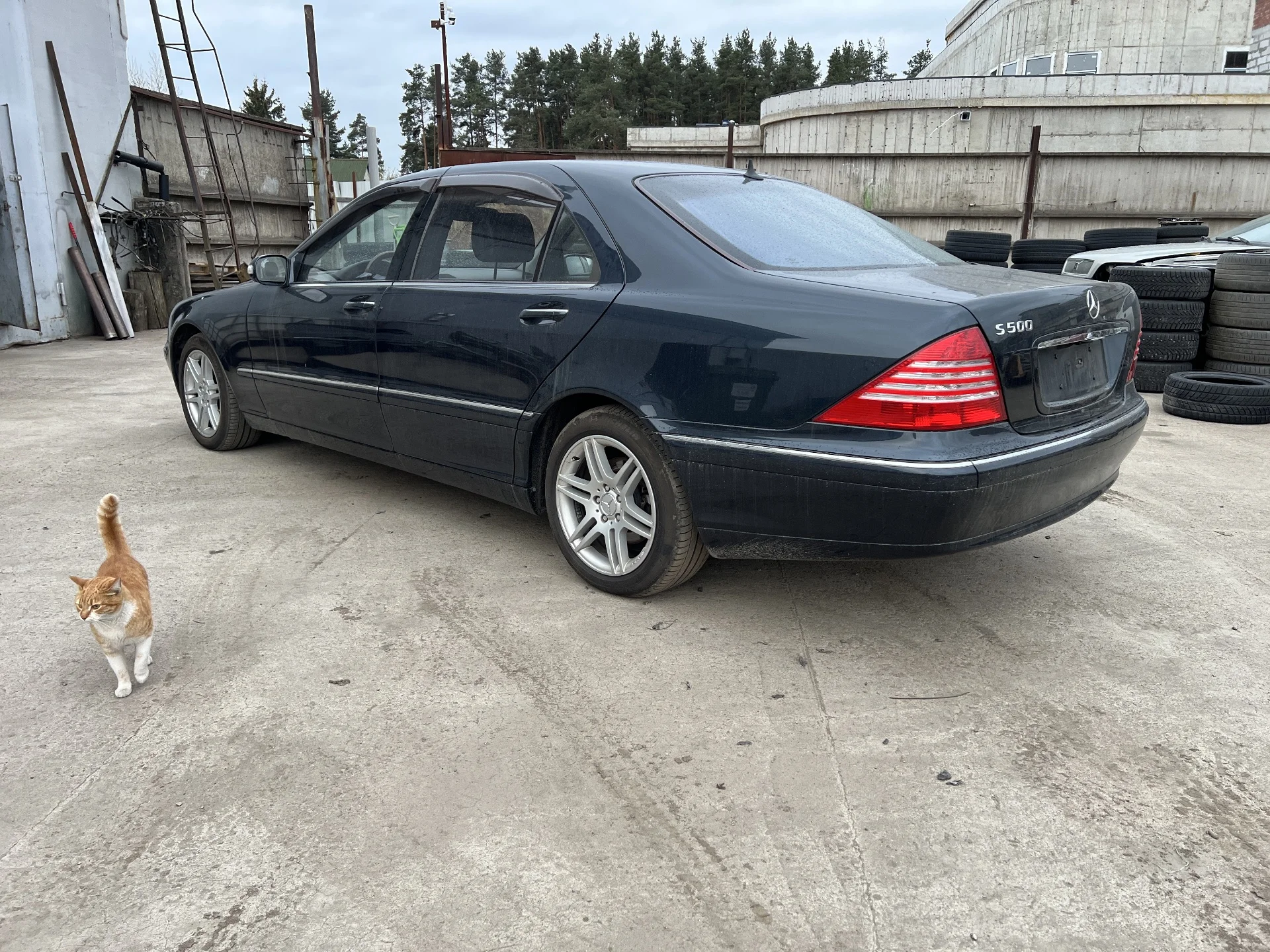 Mercedes-Benz w220 s500 2004г - миниатюра 7