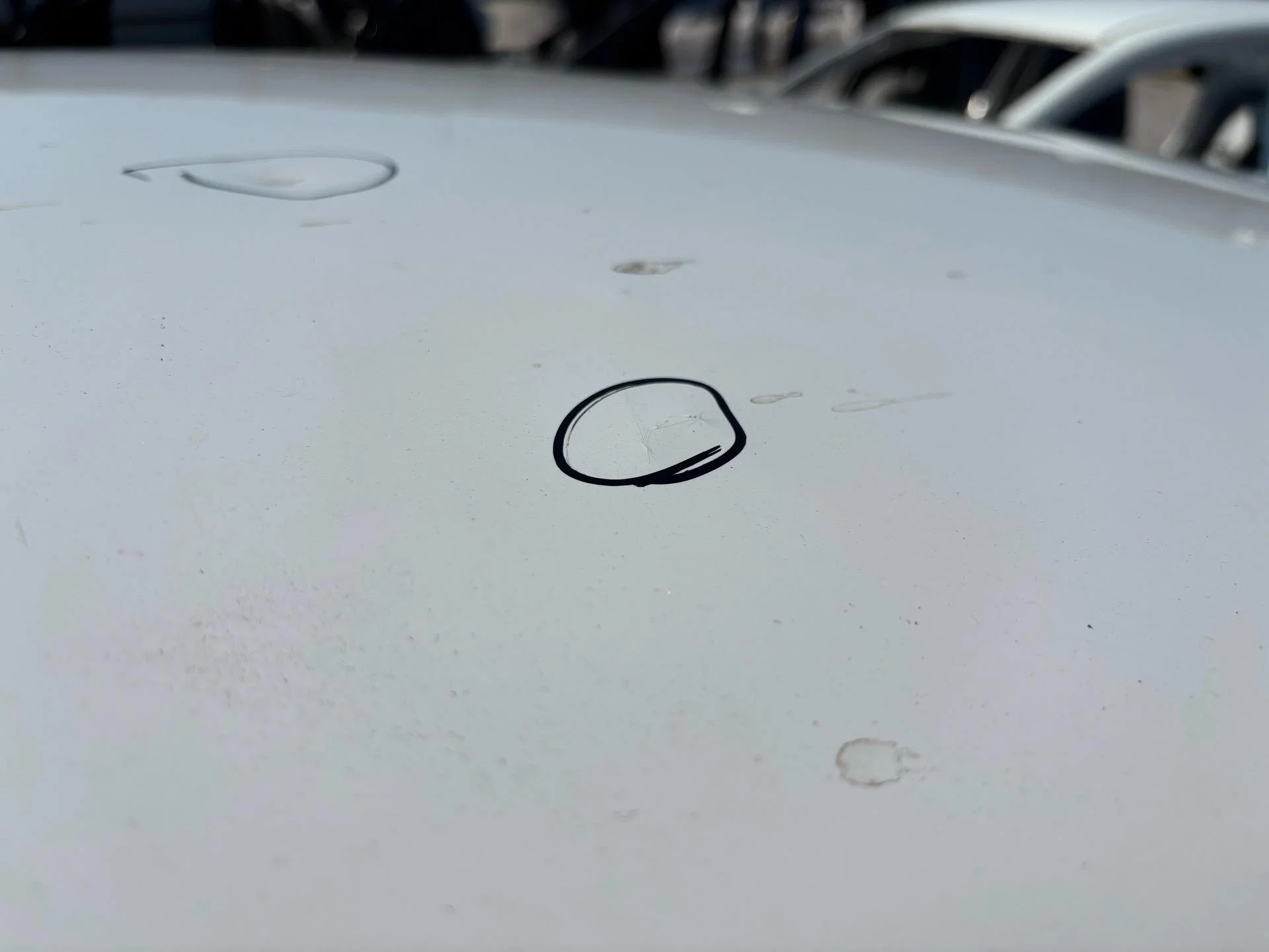 Крыша Renault Symbol 2 LU01 2010 7782676591 - миниатюра 6