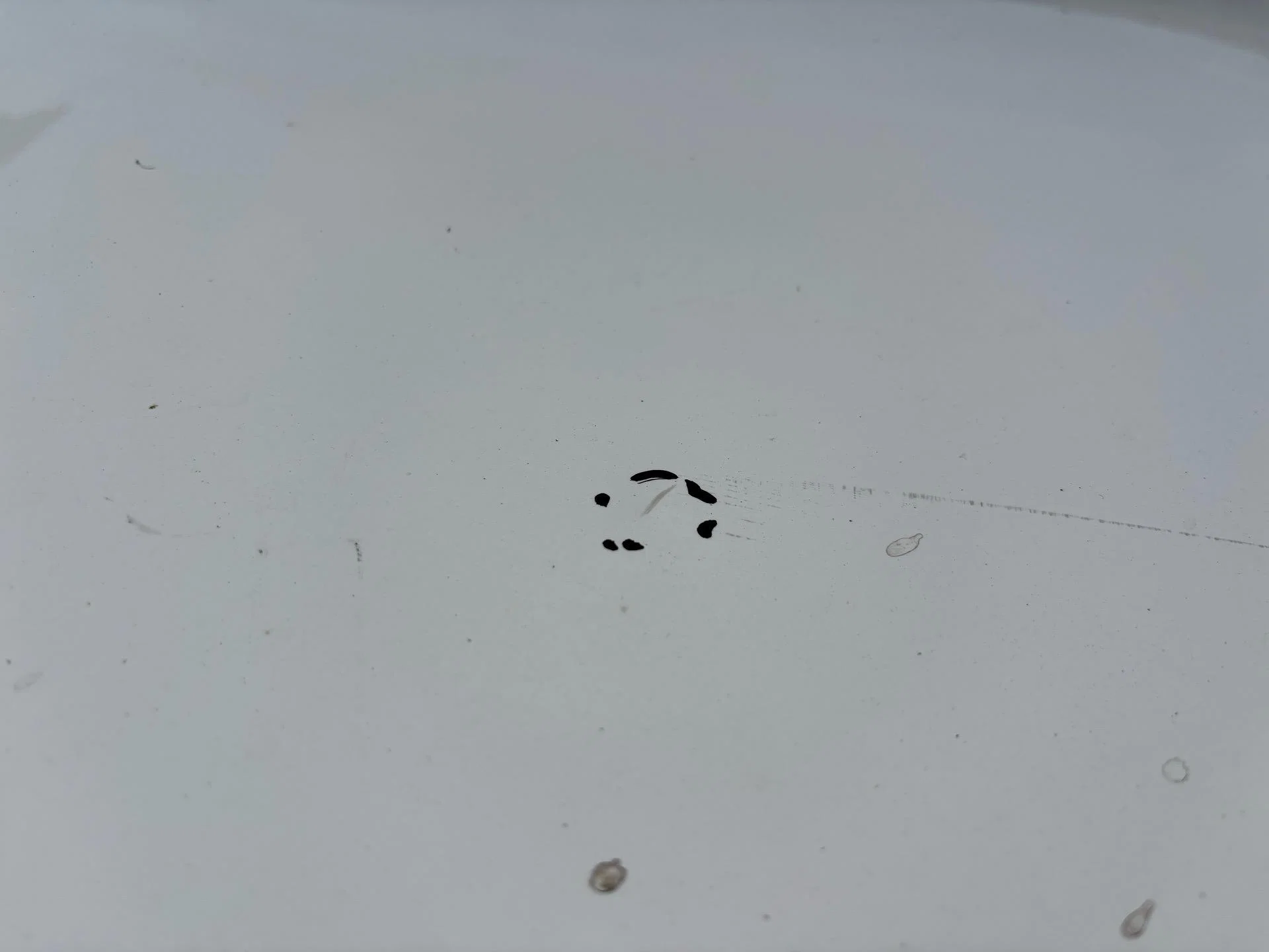 Крыша Renault Symbol 2 LU01 2010 7782676591 - миниатюра 8