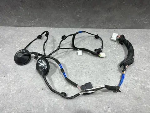 Проводка двери задней правой Kia Soul 2 рест. PS