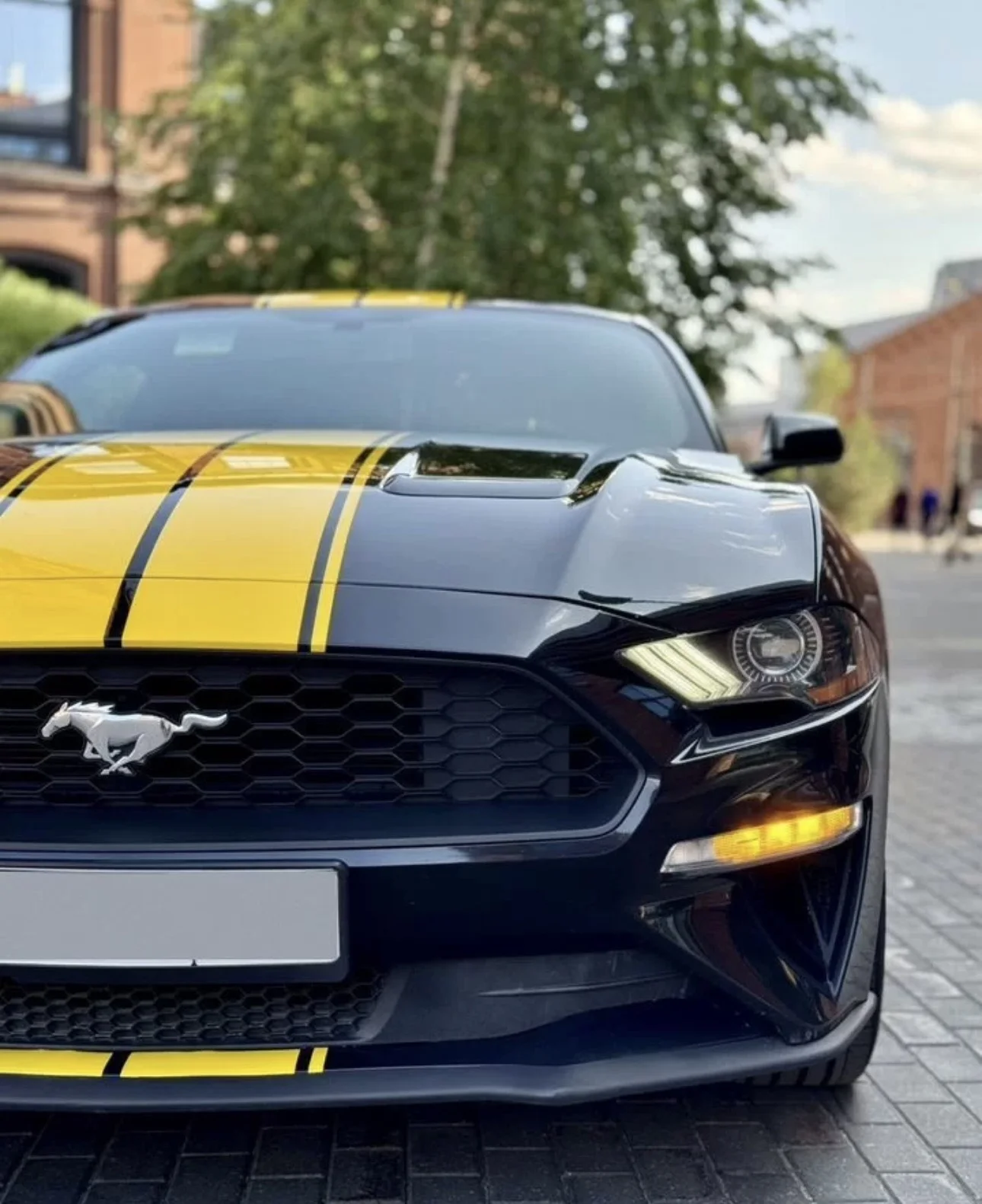 Ford mustang 2.3 2018 - миниатюра 8