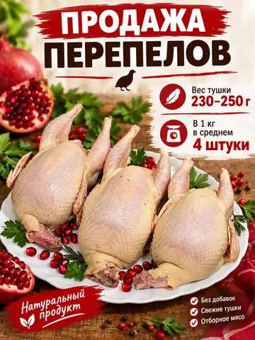 перепела