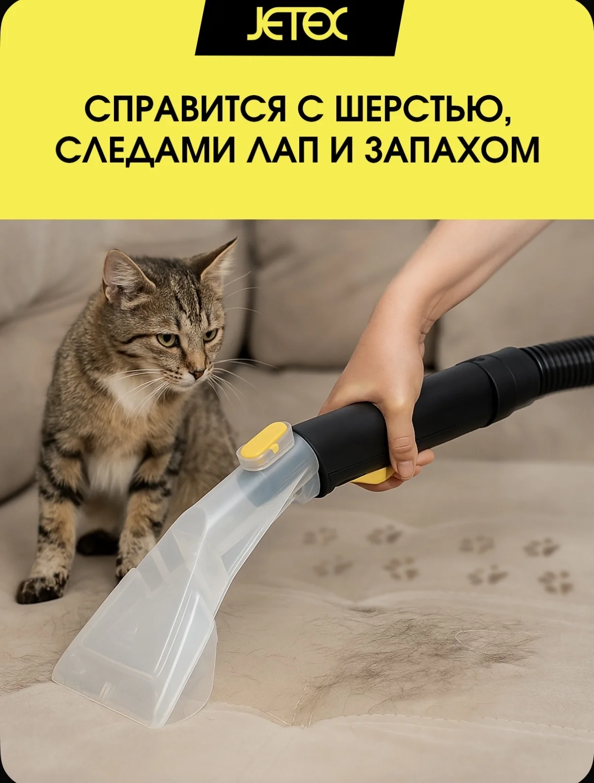 Моющий пылесос jetex в аренду без залога - миниатюра 4