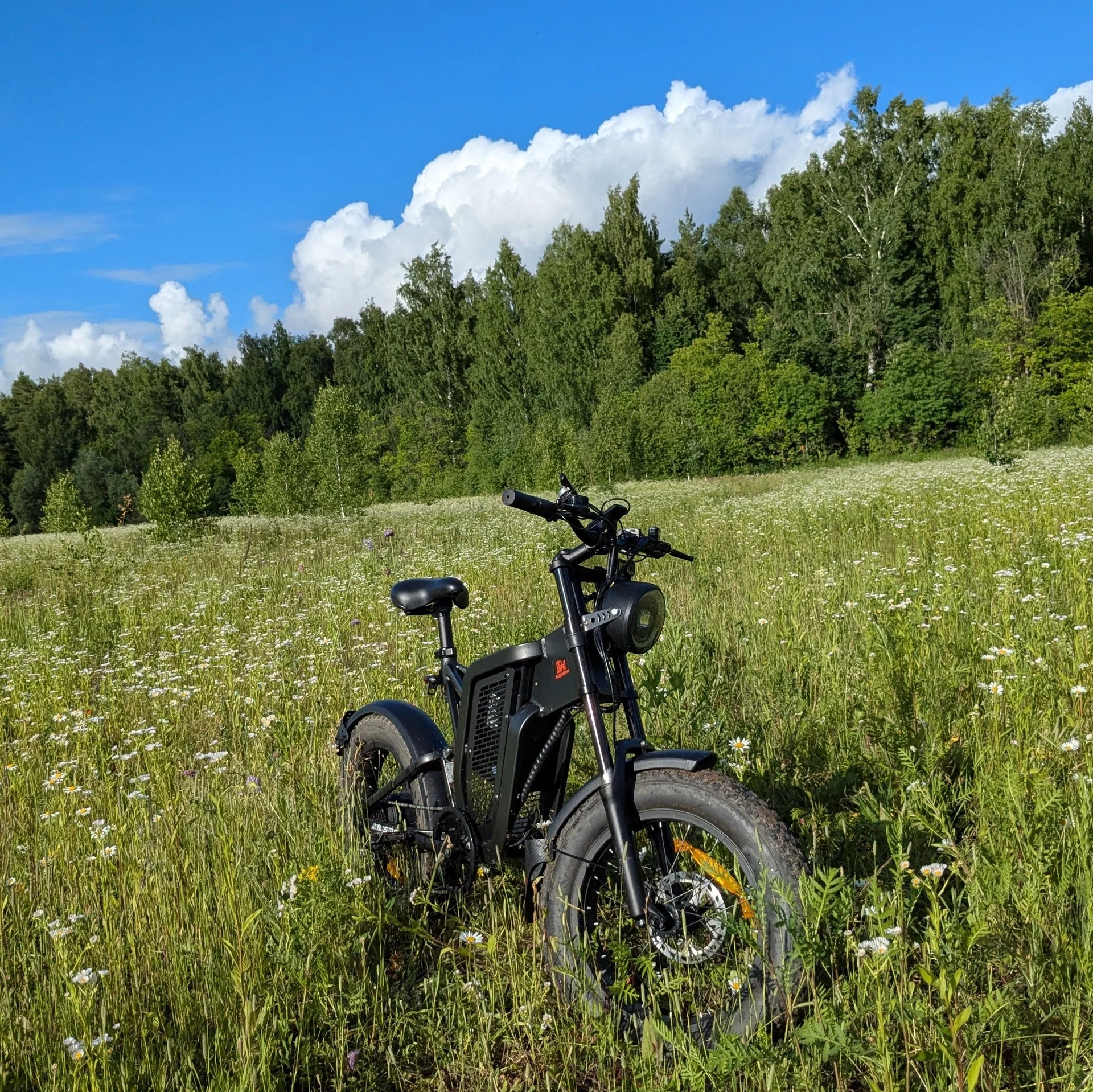 Электрофетбайк kugoo zx 1000 Вт - миниатюра 6