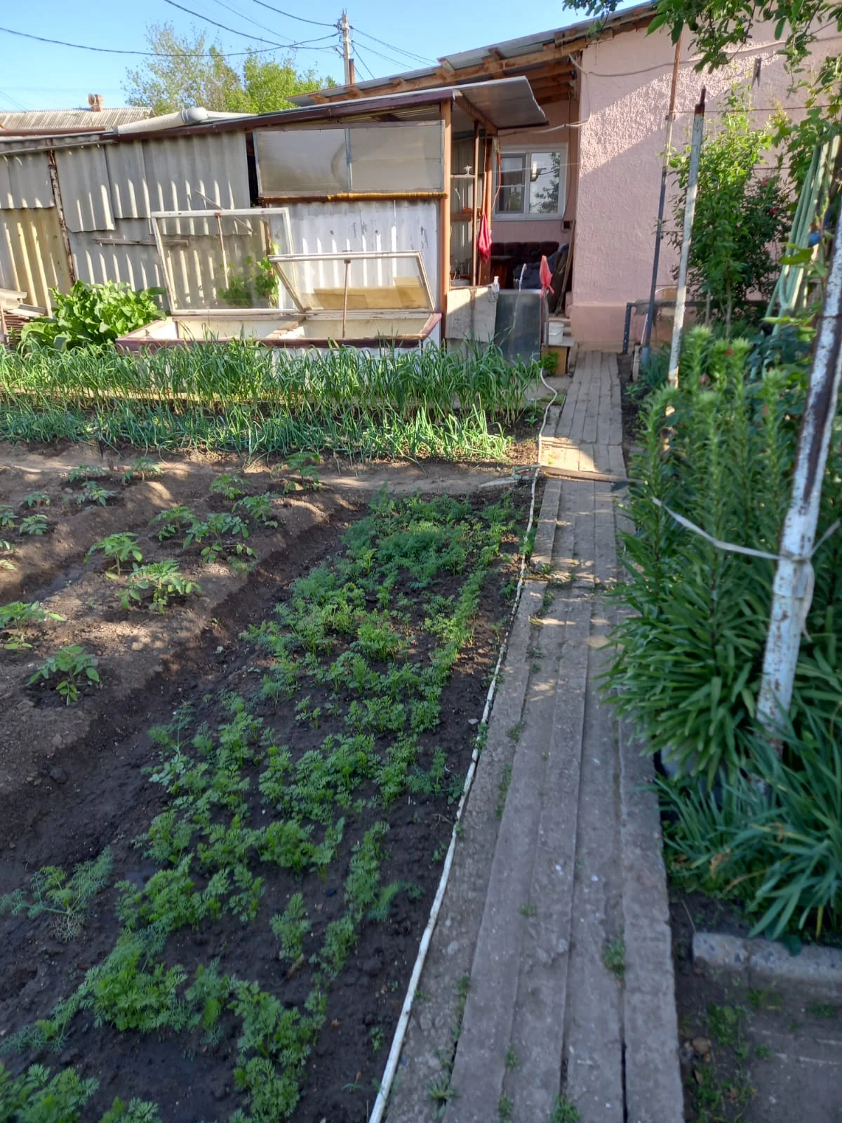 Квартира на земле, 32 м2 (фактически 64м2) - миниатюра 19