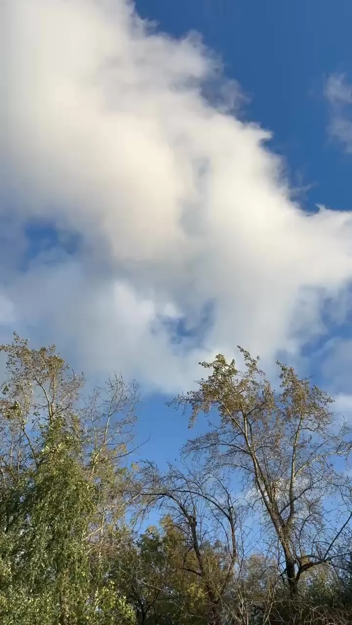 Лада Гранта, 2019