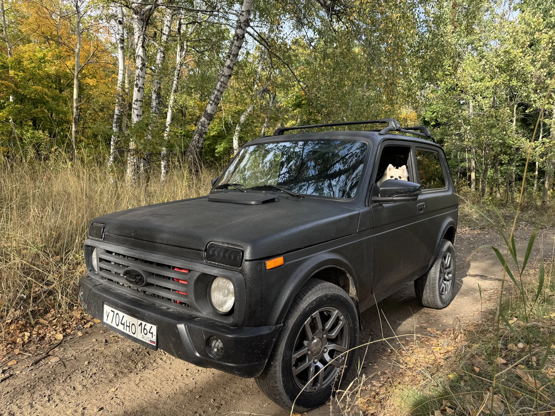 Ваз niva 4x4 - миниатюра 2