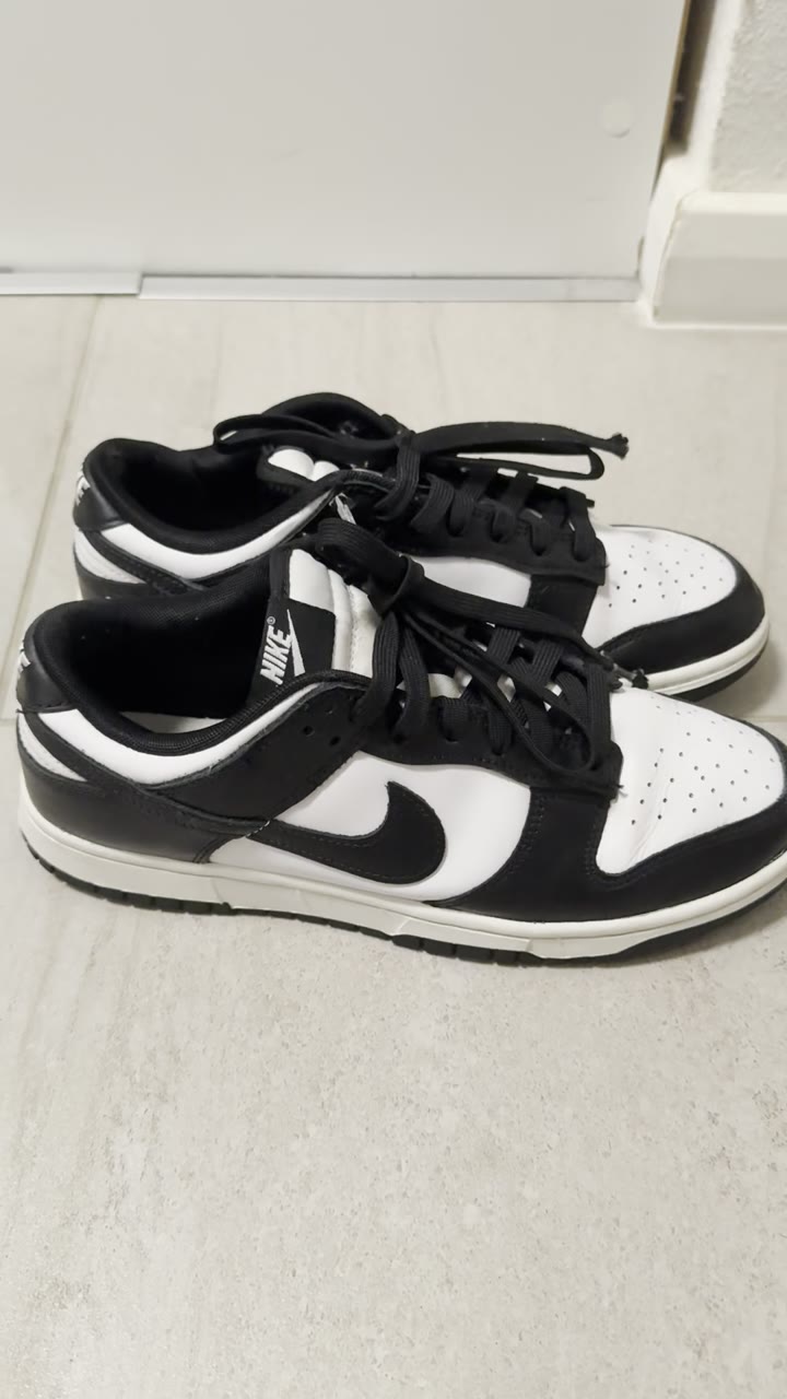 Кроссовки Nike Dunk Low - видео 8